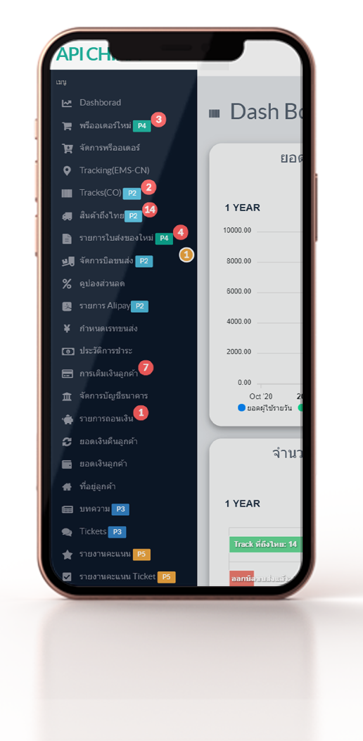 API Platform